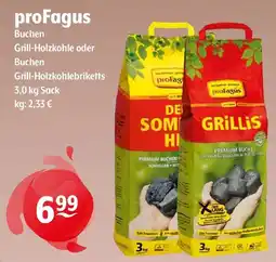 Getränke Hoffmann proFagus Grill-Holzkohle oder Buchen Grill-Holzkohlebriketts Angebot