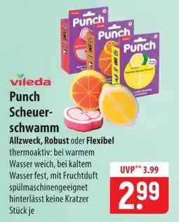 Famila Nord Ost vileda Punch Scheuerschwamm Angebot