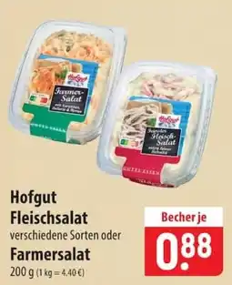Famila Nord Ost Hofgut Fleischsalat Angebot