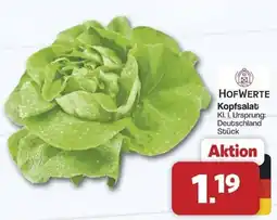 Famila Nord West HOFWERTE Kopfsalat Angebot
