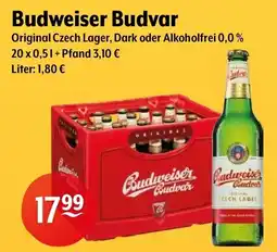 Getränke Hoffmann Budweiser Budvar Angebot