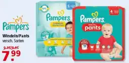 Multi Markt Pampers Windeln/Pants Angebot
