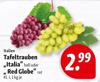 Tafeltrauben "Italia" oder "Red Globe"