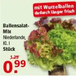 Multi Markt Ballensalat-Mix Angebot