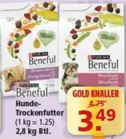 Multi Markt Purina Beneful Hunde-Trockenfutter Angebot