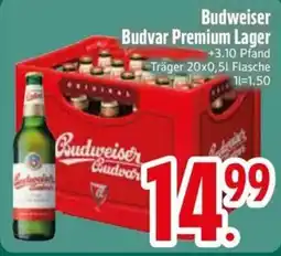 Edeka Scherer Budweiser Budvar Premium Lager Angebot