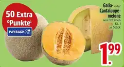 Edeka Scherer Galia- oder Cantaloupe-melone Angebot