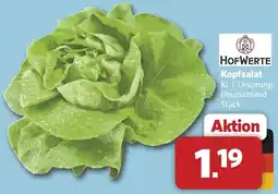Combi HOFWERTE Kopfsalat Angebot