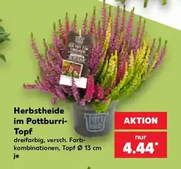 Kaufland Herbsttheide im Pottburri-Topf Angebot
