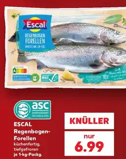 Kaufland ESCAL Regenbogen Forellen Angebot