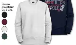 Woolworth Herren Sweatshirt Angebot