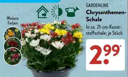 Aldi Süd GARDENLINE Chrysanthemen-Schale Angebot