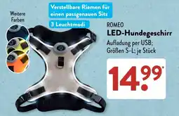 Aldi Süd ROMEO LED-Hundegeschirr Angebot
