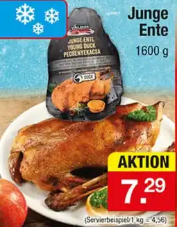 Zimmermann Valoos Junge Ente Angebot