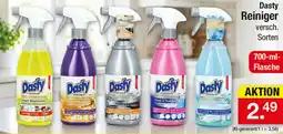 Zimmermann Dasty Reiniger Angebot