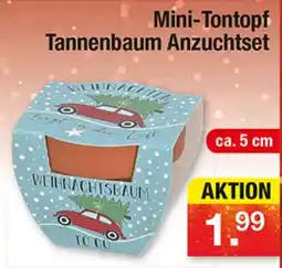 Zimmermann Mini-Tontopf Tannenbaum Anzuchtset Angebot