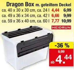 Zimmermann Dragon Box m. geteiltem Deckel Angebot