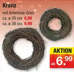 Zimmermann Kranz mit Artemisia-Gras Angebot