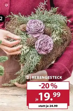 Dehner Rebengesteck Angebot