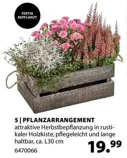 Dehner Pflanzarrangement Angebot