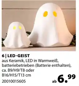 Dehner Led-geist Angebot