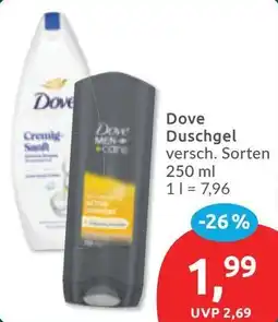 Budni Dove Duschgel Angebot