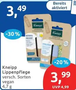 Budni Kneipp Lippenpflege vegan Angebot