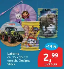 Budni Laterne Angebot