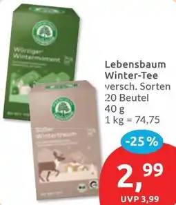 Budni Lebensbaum Winter-Tee Angebot
