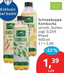 Budni Schneekoppe Kombucha Angebot