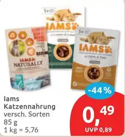 Budni IAMS Katzenfutter Angebot