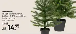 Möbel Wallach Tannenbaum Angebot