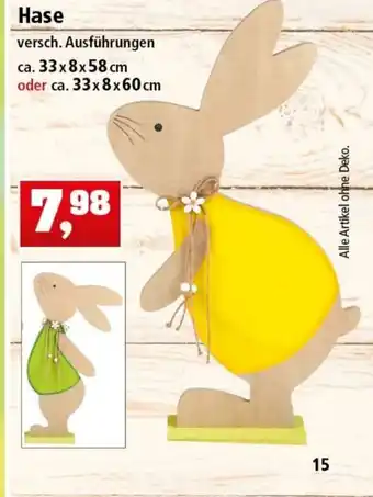 Thomas Philipps Hase Angebot