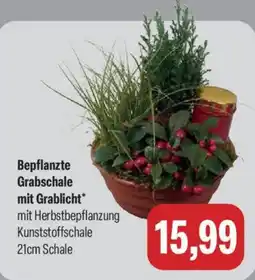 Feneberg Bepflanzte Grabschale mit Grablicht* Angebot