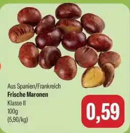 Feneberg Frische Maronen Angebot