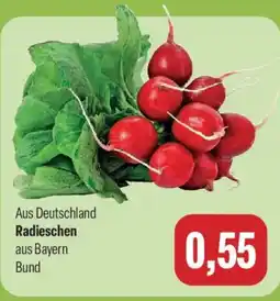 Feneberg Radieschen Bund Angebot