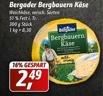 Simmel Bergader Bergbauern Käse Angebot