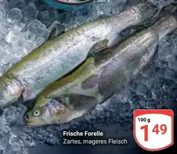 Globus Frische Forelle Angebot