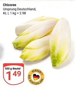 Globus Chicoree Angebot