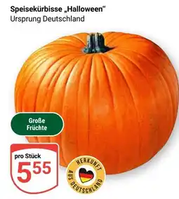 Globus Speisekürbis "Halloween" Angebot