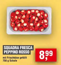 Handelshof SQUADRA FRESCA PEPPINO ROSSO Angebot
