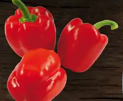 Handelshof Paprika rot Angebot