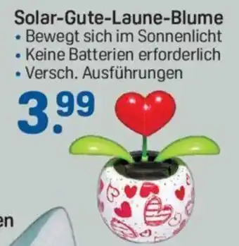 Rossmann Solar Gute Laune Blume Angebot