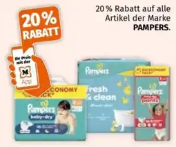 Müller Pampers Angebot