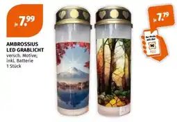 Müller AMBROSSIUS LED GRABLICHT Angebot