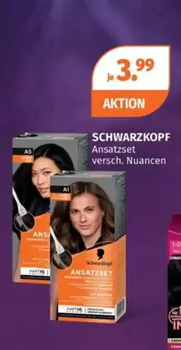 Müller Schwarzkopf Ansatzset Angebot
