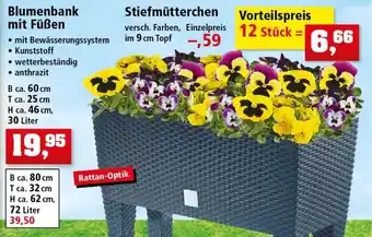 Thomas Philipps Blumenbank mit Füßen Angebot