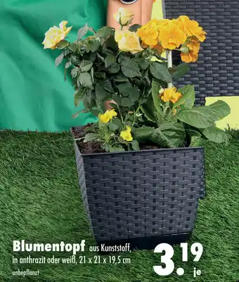 Mäc Geiz Blumentopf Angebot