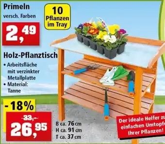 Thomas Philipps Primeln oder Holz Pflanztisch Angebot