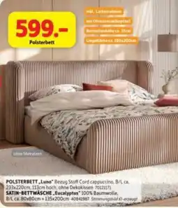 SCONTO Polsterbett Angebot